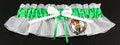 Boston Celtics Inspired Bridal Garter