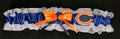 Chicago Bears Inspired Toss Garter