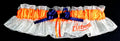 Houston Astros Inspired Bridal Garter