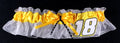Kyle Busch Inspired Bridal Garter