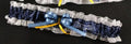 Memphis Grizzlies Inspired Toss Garter