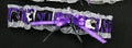Northwestern Inspired Toss Garter