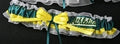 Oakland Athletics Inspired Toss Garter